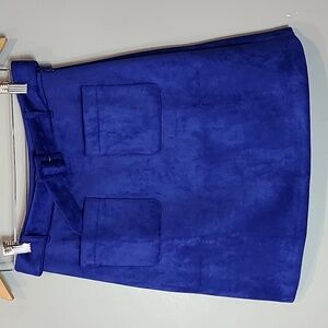 Loft Velvet‎ Skirt Size 00 Preppy Heritage Old Money Holiday Jewel Tone Blue